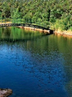 Aquasphere Pond Cleaners -OW Garden Decor Shop 37425 001ed 1