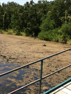 Blast, 2,500 Gallon, 5 Packets -OW Garden Decor Shop 37425 001v 1 1