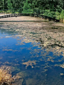 Aquasphere Pond Cleaners -OW Garden Decor Shop 37425 002ed 1