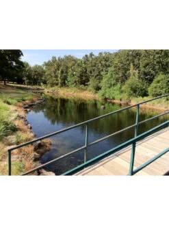 Blast, 125,000 Gallon, 12 Packets -OW Garden Decor Shop 37425 002v 1