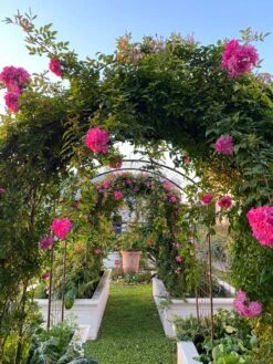 Jardin Rose Arch -OW Garden Decor Shop 38 690 03IN tif
