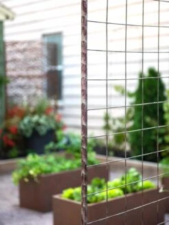 Jardin Rose Arch -OW Garden Decor Shop 38690 9948 tif