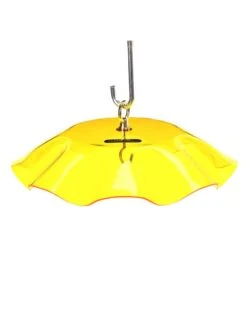 Birds Choice Weather Guard Feeder Cover -OW Garden Decor Shop 3 4 crop 8608735 25V