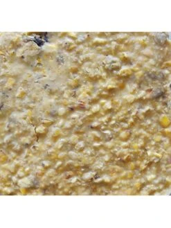 Cherry Sunflower Suet, 11.75 OZ, 12 Pack -OW Garden Decor Shop 3 4 crop 8613689 04V