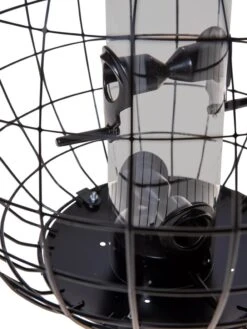 Mixed Seed Globe Cage Feeder -OW Garden Decor Shop 8586659 6400