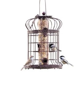 Edwardian Bird Feeder 5 Edwardian Bird Feeder -OW Garden Decor Shop 8590897 200151 tif