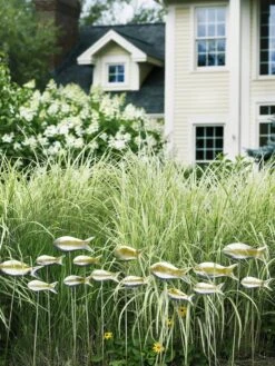 Fish Out Of Water Garden Stakes, Set Of 5 -OW Garden Decor Shop 8593672 9124 tif