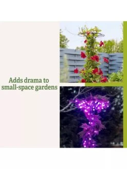 Essex Tuteur, 63" -OW Garden Decor Shop 8594162 3