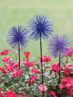 Everbloomin' Alliums, Set Of 3 -OW Garden Decor Shop 8598435 1000 tif