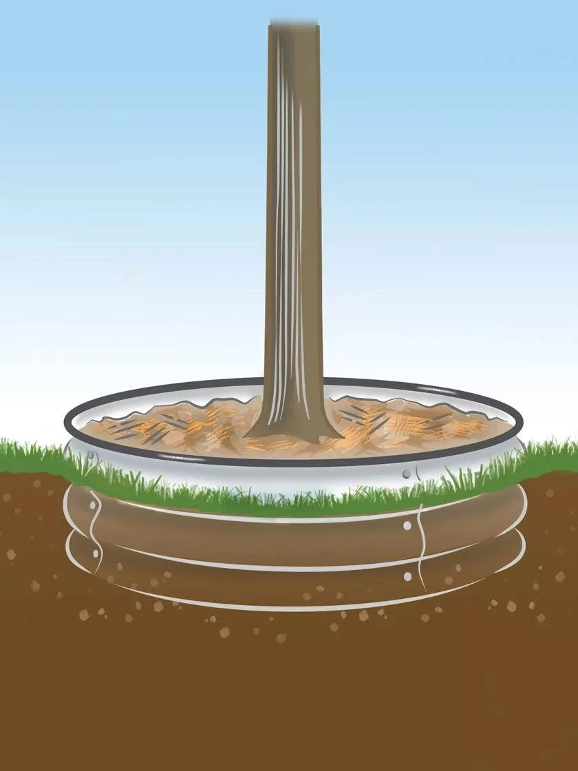 Tree Surround 4 Tree Surround - Image 4