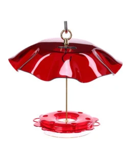 Birds Choice™ Hummingbird Nectar Feeder With Weather Guard Kit