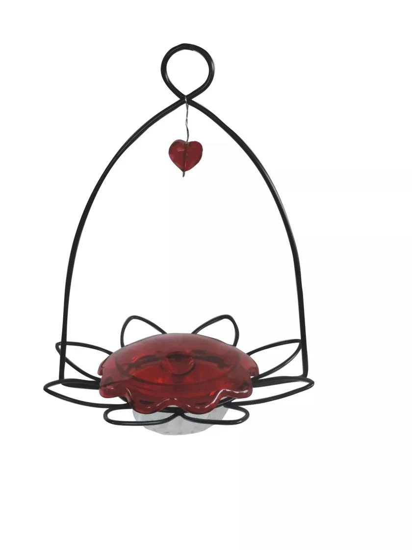 Birds Choice™ Hummingbird Flower Bird Feeder 1 Birds Choice™ Hummingbird Flower Bird Feeder