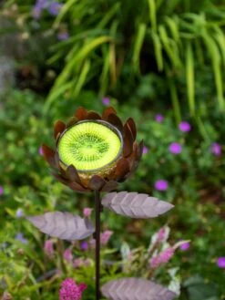 Dahlia Butterfly Feeder 5 Dahlia Butterfly Feeder -OW Garden Decor Shop 8599369 683 tif