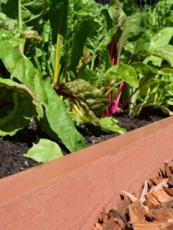 Straight Landscape Edging Kit With 2" Boards -OW Garden Decor Shop 8599408 02V tif