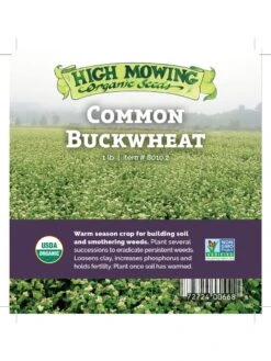 Common Buckwheat Organic Seeds 7 Common Buckwheat Organic Seeds -OW Garden Decor Shop 8599871 04v