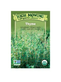 Thyme Organic Seeds -OW Garden Decor Shop 8599882 02v