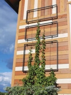 Exeter Wall Trellis 9 Exeter Wall Trellis -OW Garden Decor Shop 8600049 7121 tif