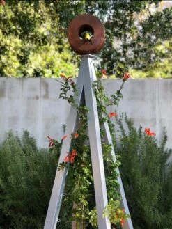 Bird Cafe + Akoris Garden Tuteur Sr. -OW Garden Decor Shop 8600525 07v 1