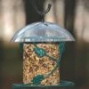 Birds Choice Hanging Seed Cylinder Bird Feeder