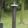 Birds Choice Bear-Proof Feeder