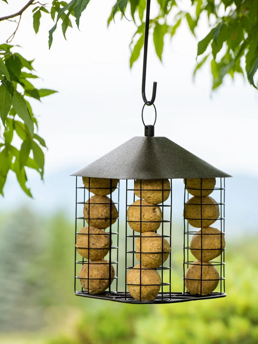 Fly-Through Suet Ball Feeder 1 Fly-Through Suet Ball Feeder