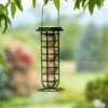 Suet Ball & Feeder Combo Set