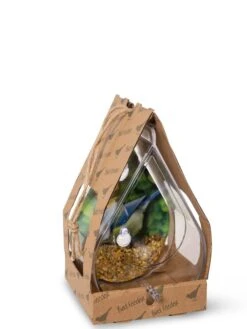 Dewdrop Window Bird Feeder -OW Garden Decor Shop 8609061 4444 tif