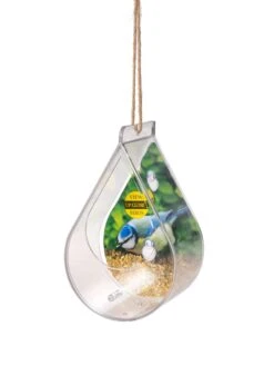 Dewdrop Window Bird Feeder -OW Garden Decor Shop 8609061 4447 tif