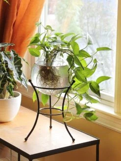 Achla Designs Multi Use Stand -OW Garden Decor Shop 8609343 01v achla designs multi use stand