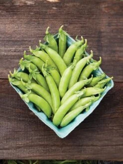 Family Garden Organic Seed Collection, Set Of 7 -OW Garden Decor Shop 8610262 cascadia peas 01V tif