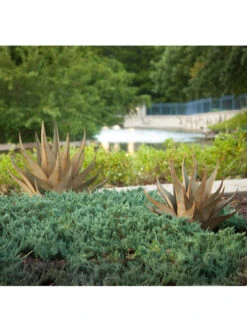 Desert Steel Sharkskin Agave Sculpture 9 Desert Steel Sharkskin Agave Sculpture -OW Garden Decor Shop 8610753 05v