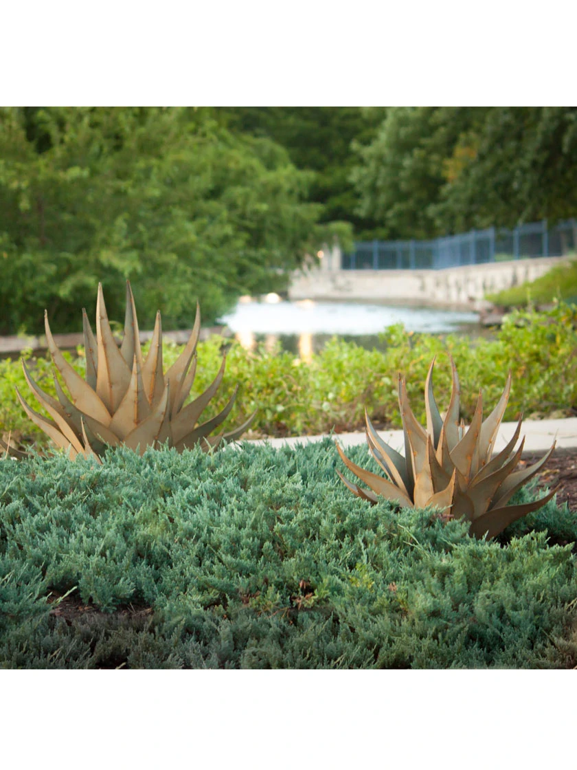 Desert Steel Sharkskin Agave Sculpture 4 Desert Steel Sharkskin Agave Sculpture - Image 4