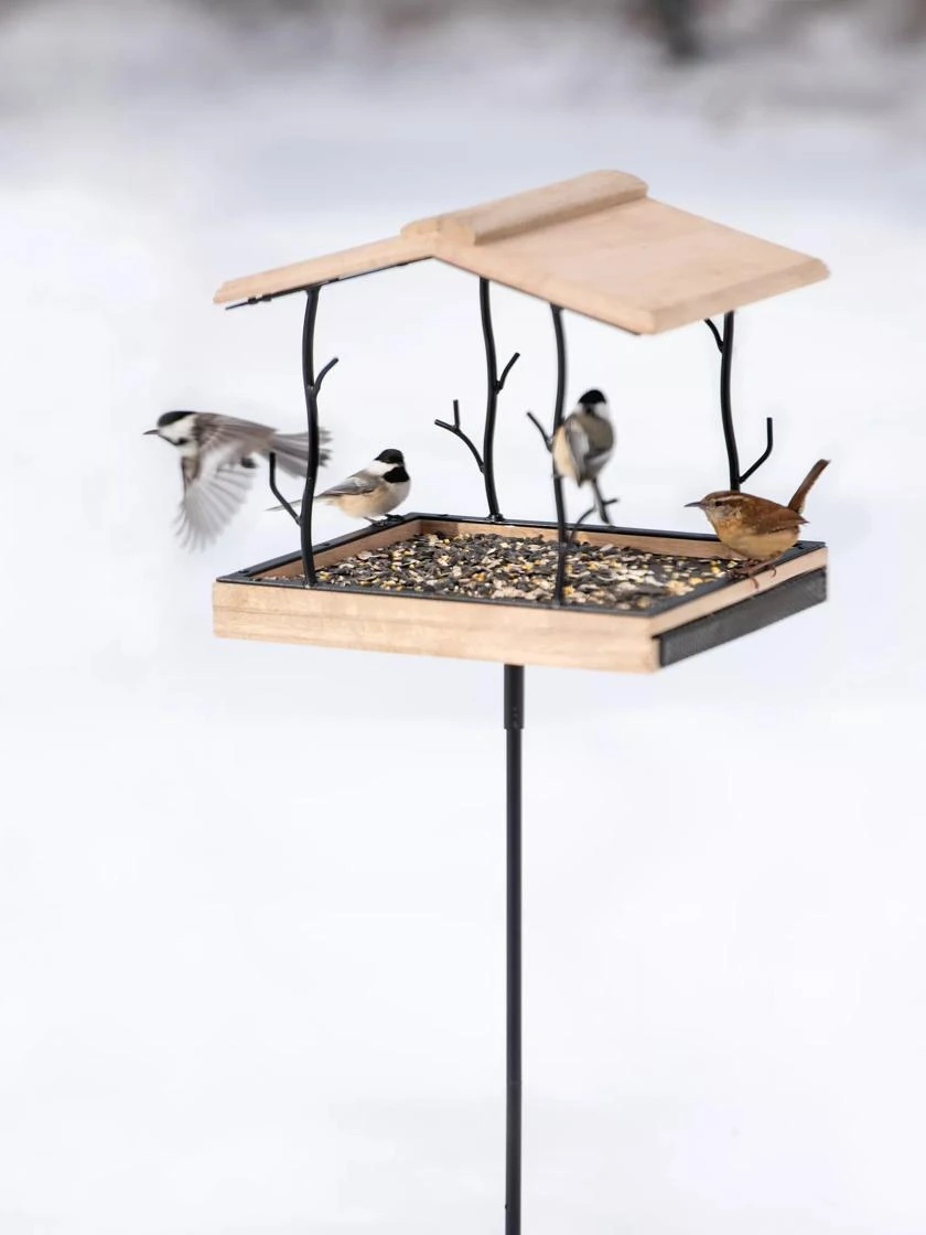 Twigs Platform Bird Feeder 1 Twigs Platform Bird Feeder