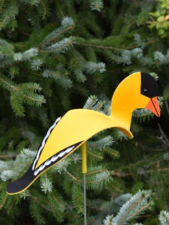 Florida Dancing Birds®, Songbirds -OW Garden Decor Shop 8611629 04v