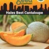 Hales Best Cantaloupe Organic Seeds