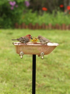 Copper Bathtub Birdbath -OW Garden Decor Shop 8612202 01v copper bathtub birdbath