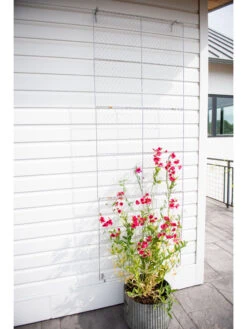 Chicken Wire Wall Trellis 13 Chicken Wire Wall Trellis -OW Garden Decor Shop 8612717 0093