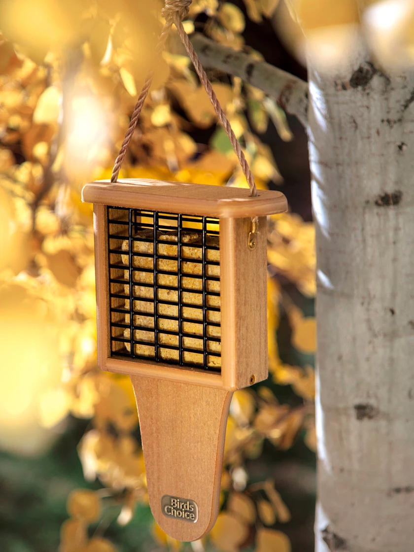 Spruce Creek Tail Prop Suet Feeder 1 Spruce Creek Tail Prop Suet Feeder