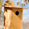 Spruce Creek Bluebird House