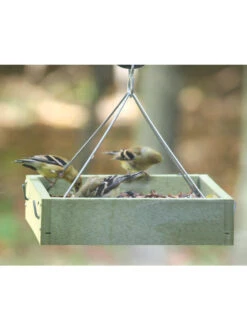 Birds Choice™ Tray Bird Feeder, Small -OW Garden Decor Shop 8613221 03v