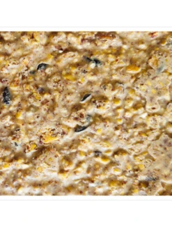 Peanut Apple Suet, 11.75 OZ, 12 Pack -OW Garden Decor Shop webimage 8613690 04V